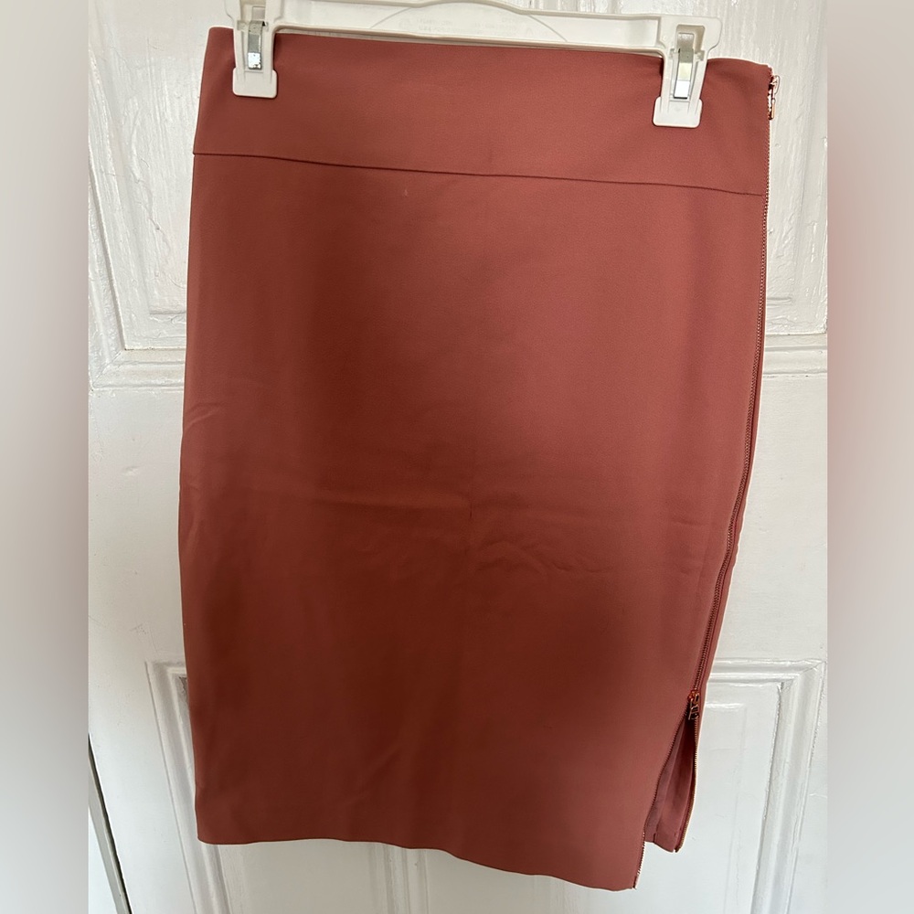 Express Blush Pink Pencil Skirt